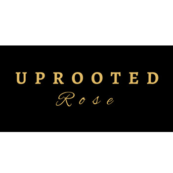 Uprooted Rose - Luxury Flowers Sarasota