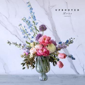 Uprooted Rose - Luxury Flowers Sarasota