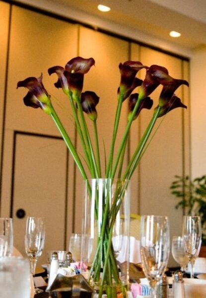 Weddings by Stephanie