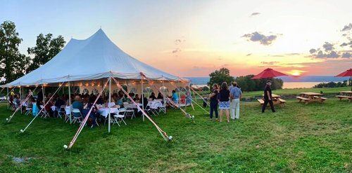 Bright Leaf Vineyard