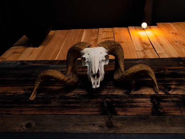 Hill Country Ice House