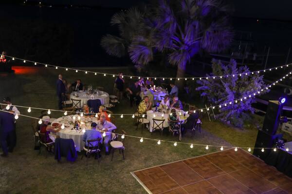 Tampa Bay Watch, Inc