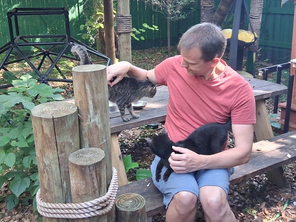 Cats Cradle Sanctuary Foundation, INC