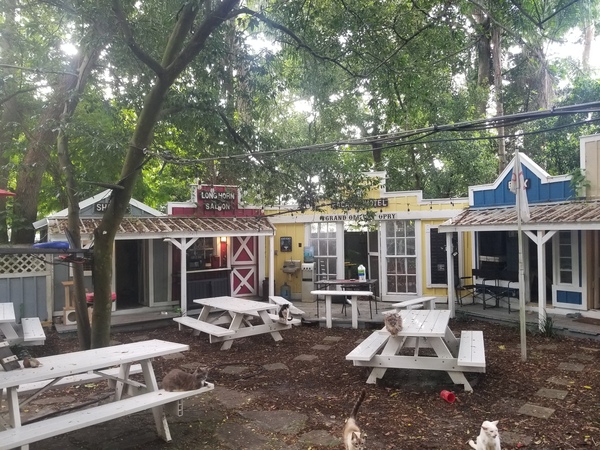 Cats Cradle Sanctuary Foundation, INC