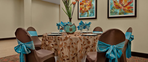 Hampton Inn & Suites Tampa Northwest/Oldsmar