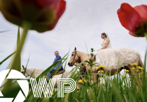 Wes Perry Photography