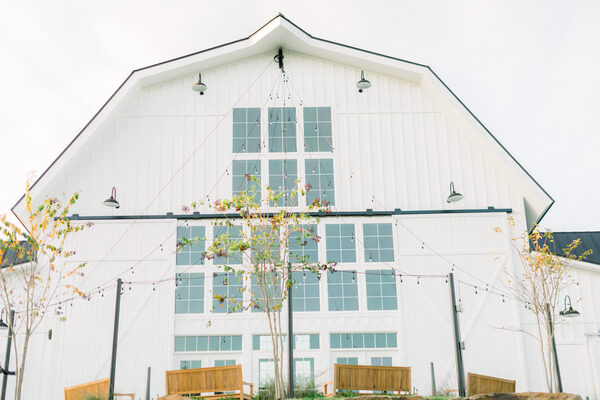 The Springs in Wallisville