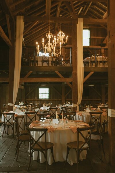 Mustard Seed Gardens