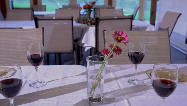 Three Oaks Vineyard LLC