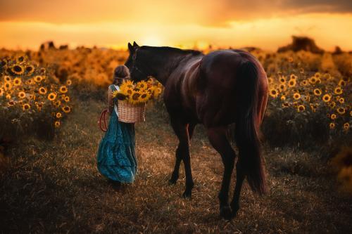 Whispy Shades Photography