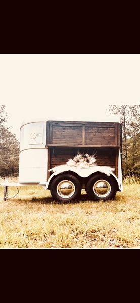 Saddle sips mobile bar