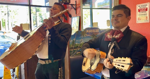 Mariachi Sol America