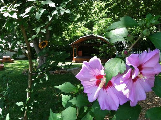 Music On Main Street