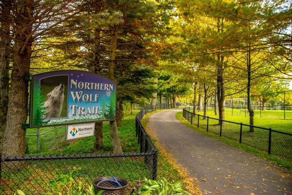 New York State Zoo at Thompson Park