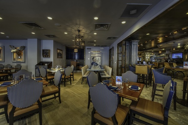 Teddy and The Bully Bar