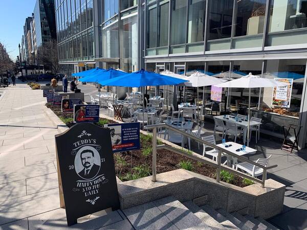 Teddy and The Bully Bar