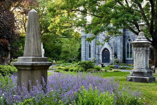 Friends of Mount Auburn