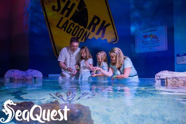 SeaQuest Woodbridge