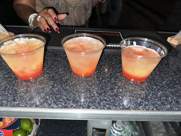 NeNe The Bartender Babe