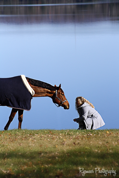 Kingsley Equestrian Inc