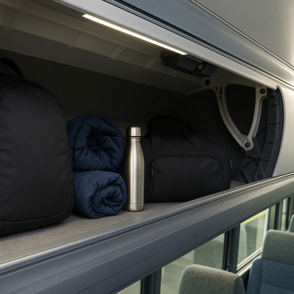 Price 4 Charter Buses & Limos St Petersburg | St Petersburg Charter Bus, Shuttle Bus & Minibus Compa