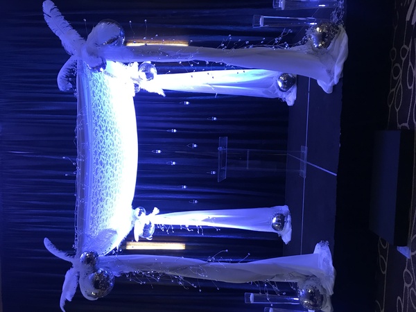 Shannon Fowler Events