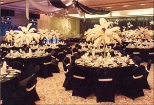 Professional Touch International - Palm  Beach to Miami Beach