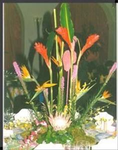 Professional Touch International - Palm  Beach to Miami Beach