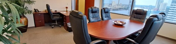 Executive Suite Professionals
