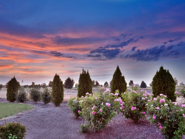 Holiday Inn Express & Suites Nampa - Idaho Center