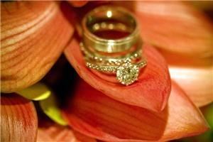 Butterfly Brides Wedding Planning & Design