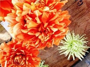 Butterfly Brides Wedding Planning & Design