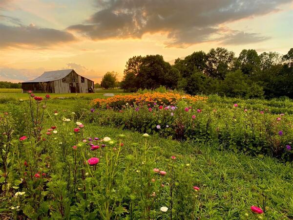 The Glass Parlor Kentucky Flower Farm and Events