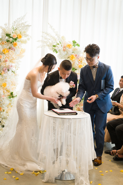 Vancity Officiant | Kevin & Kit