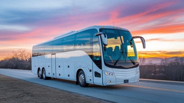 Charter Bus Hamilton