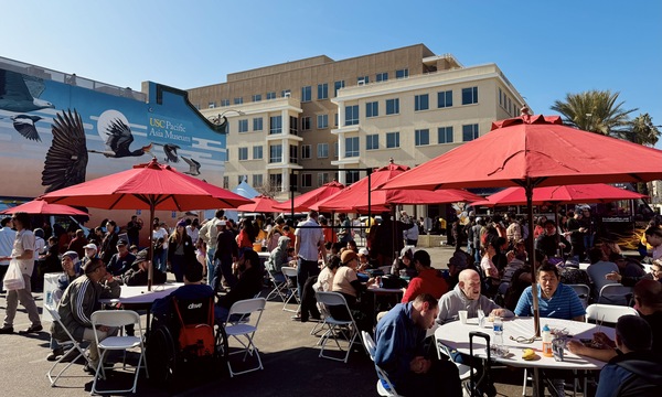 Dolphin Event Services Party Rentals