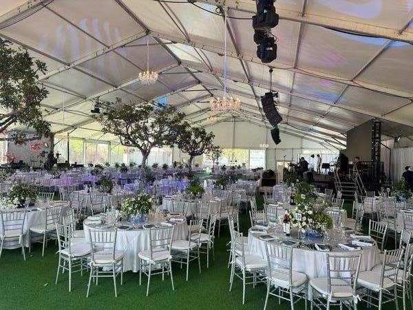 Dolphin Event Services Party Rentals