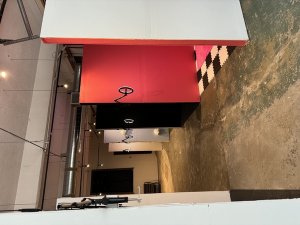 Picture Perfect Selfie Museum