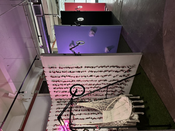 Picture Perfect Selfie Museum