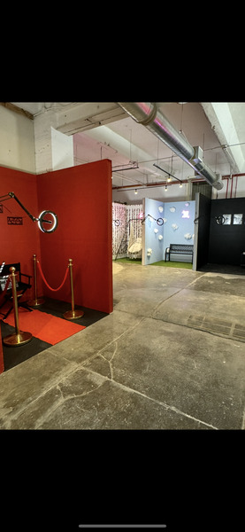 Picture Perfect Selfie Museum