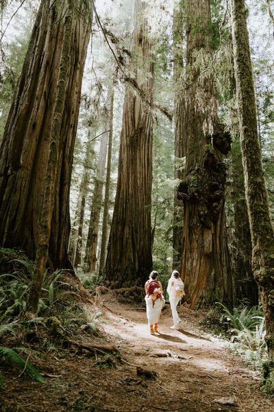 Christina Perhac Photography