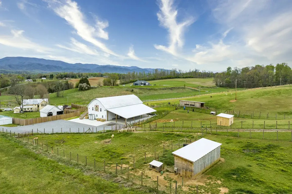 Limestone Orchard and Events