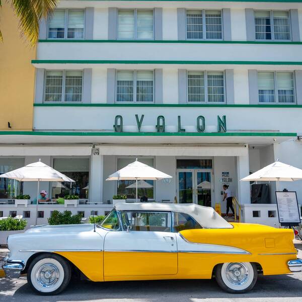 Events at A Fish Called Avalon