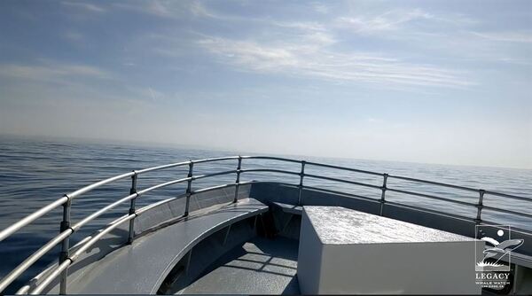Legacy Whale Watch