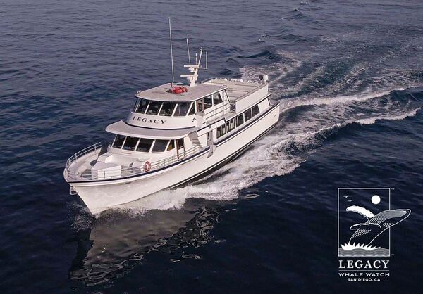 Legacy Whale Watch