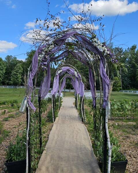 The Lilly Farm Venue