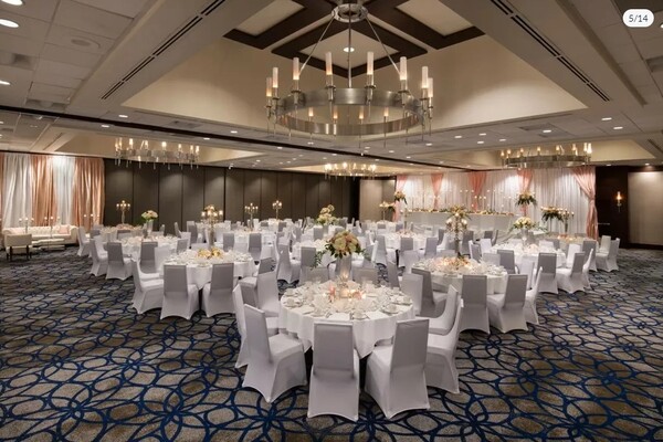 Hilton Hotel Bellevue