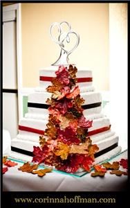 Corinna Hoffman Photography - Winter Haven