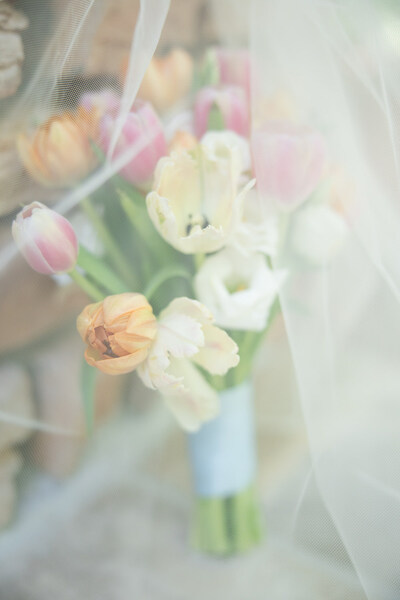 Shalyn O'Neal Photography