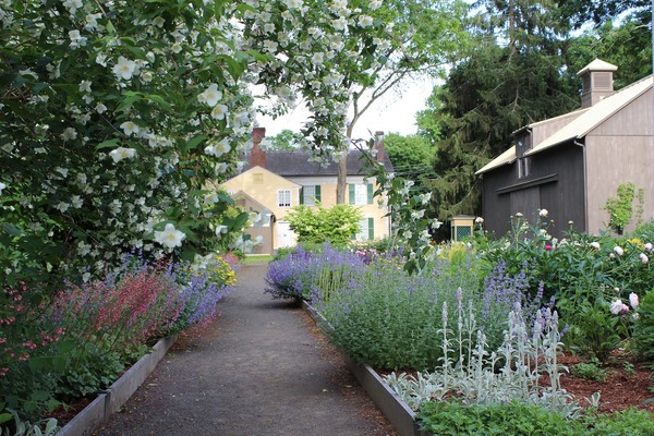 Florence Griswold Museum